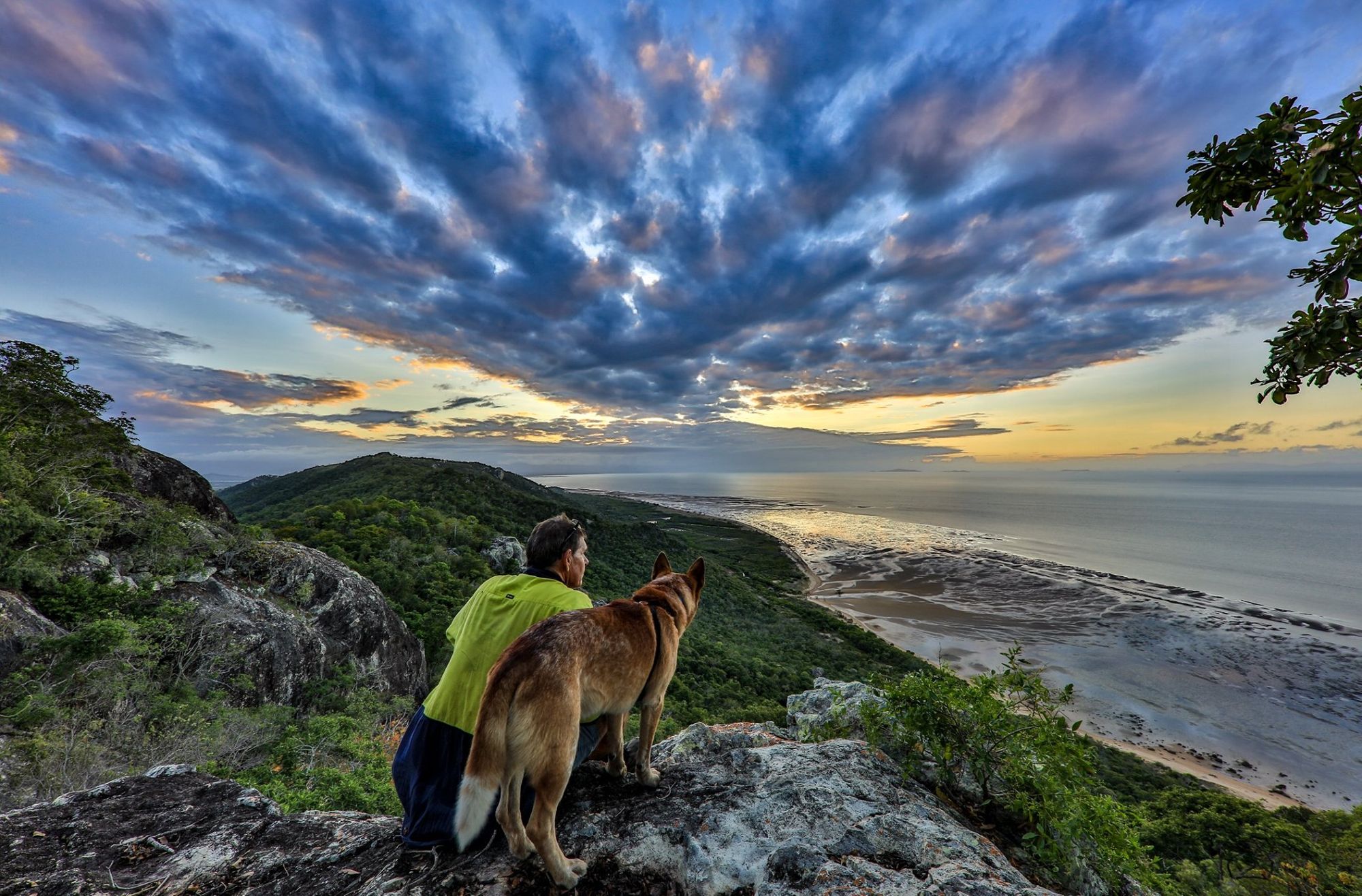 Dog-friendly adventures places and walking tracks around Townsville