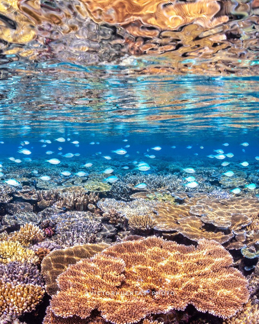 An adventurous guide to the Great Barrier Reef